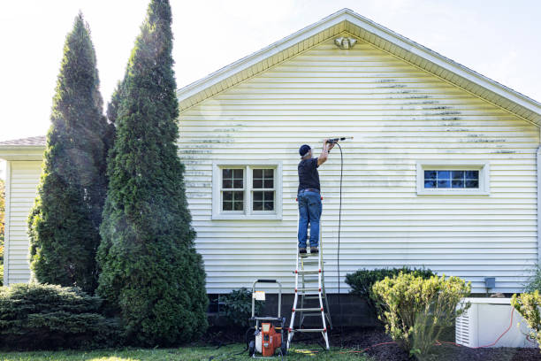Best Building Exterior Washing  in Sachse, TX